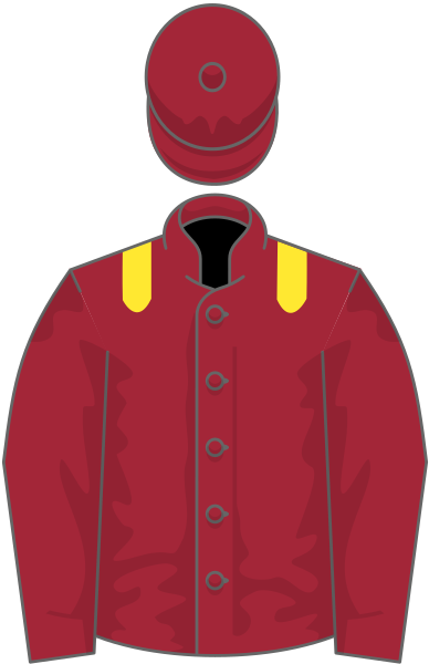 File:Owner Pegase Bloodstock.svg