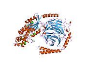 1got: HETEROTRIMERIC COMPLEX OF A GT-ALPHA/GI-ALPHA CHIMERA AND THE GT-BETA-GAMMA SUBUNITS