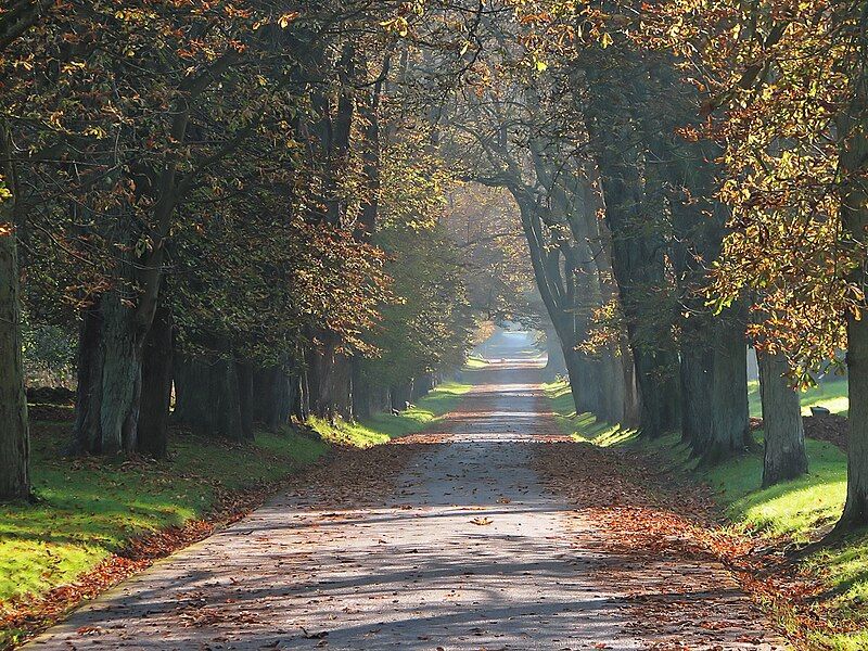 File:Putbus Park 5.jpg