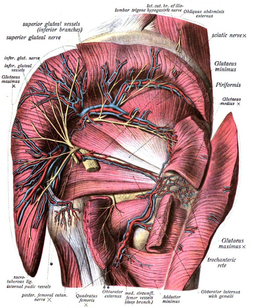 File:Sobo 1909 717.png