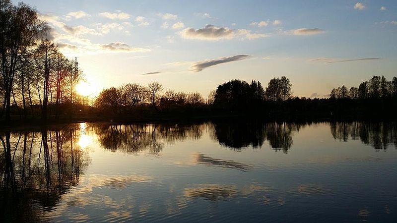 File:Bridvaišis lake (Autumn).jpg