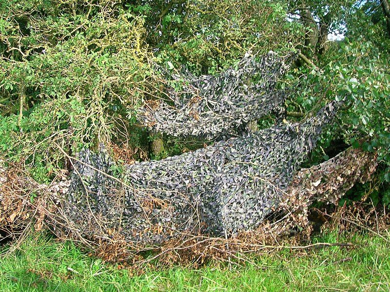 File:Camouflaged hide.jpg