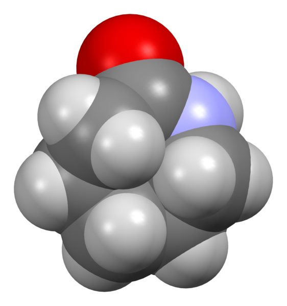 File:Caprolactam-from-xtal-3D-sf.png