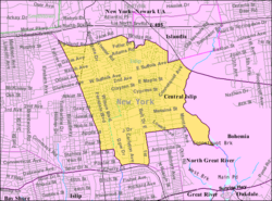 U.S. census map