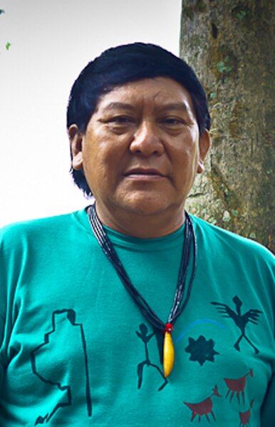 File:Davi Kopenawa Yanomami.jpg