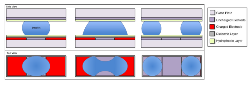 File:Droplet Splitting Figure.png