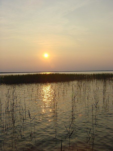 File:Grass Sunset.jpg