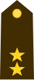 Lieutenant Colonel