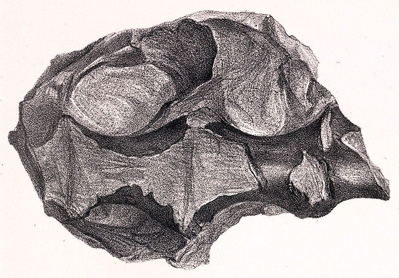 File:Hylaeosaurus sacrum.jpg