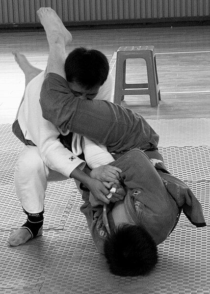 File:In-guard armbar.jpg