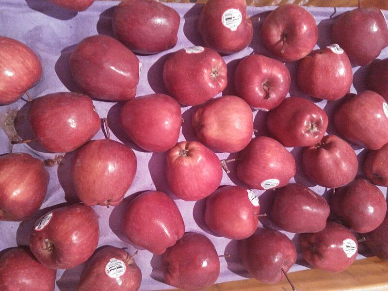 File:Kashmiri apples.jpg