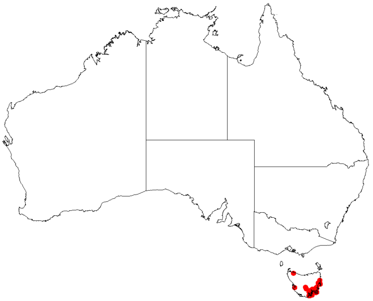 File:Lepidosperma oldfieldiiDistMap52.png