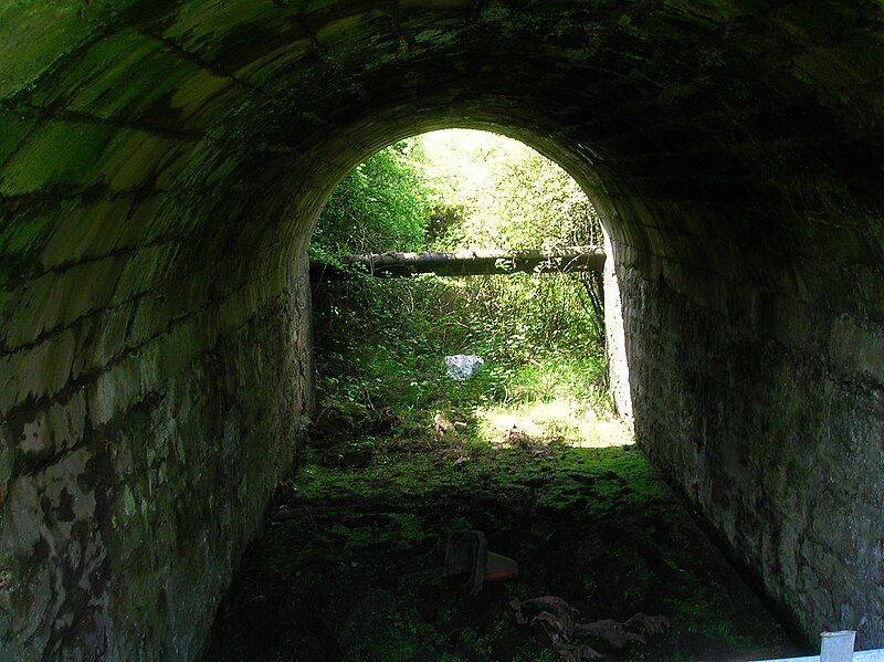 File:Overbridge, Hillhead line,beith.JPG