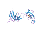 2hkn: Crystal structure of the CAP-Gly domain of human Dynactin-1 (p150-Glued)