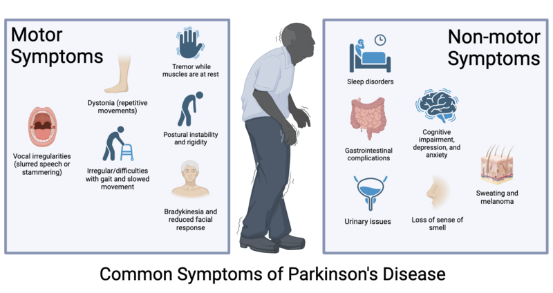 File:PD Symptoms.png