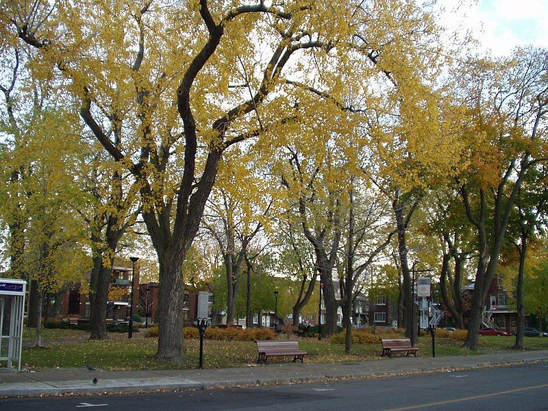 File:Parc square Garneau.jpg