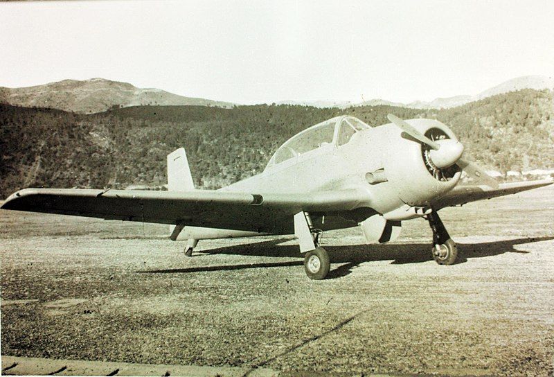 File:Piaggio P.150.jpg