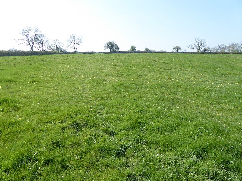 File:Plumpton Pasture 1.jpg