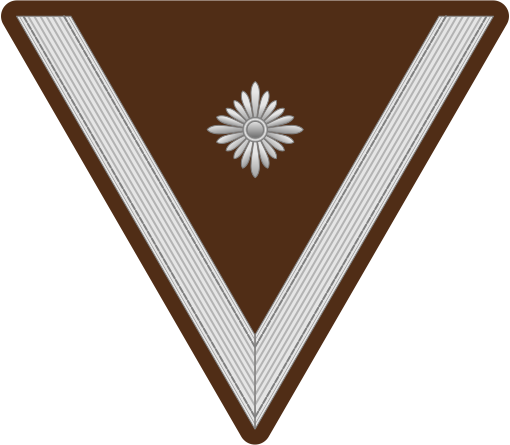 File:RAD-Obervormann-patch.svg