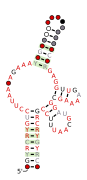 RAGATH-21 Secondary structure taken from the Rfam database. Family RF03097