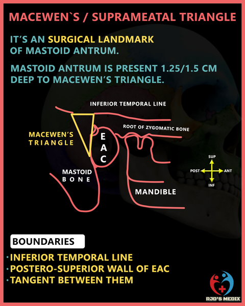 File:Suprameatal triangle.png