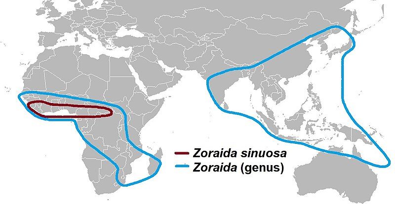 File:Zoraida distribution2.jpg