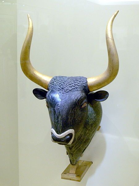 File:AMI - Stierrhyton.jpg