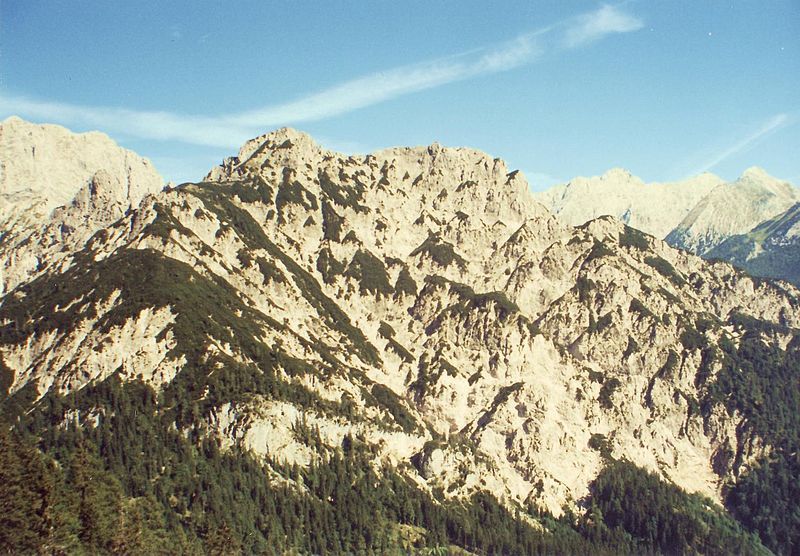 File:Ameisnockenkopf.jpg