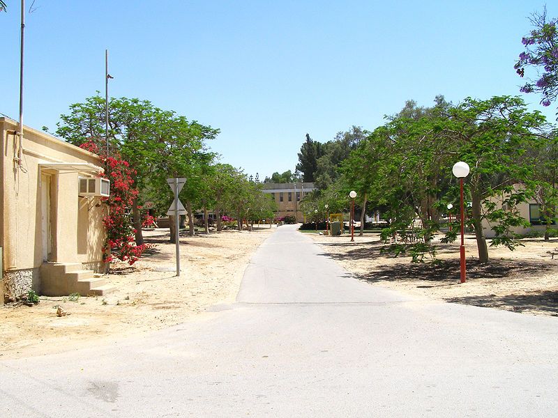 File:Avenue Revivim.jpg