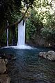 Banias spring