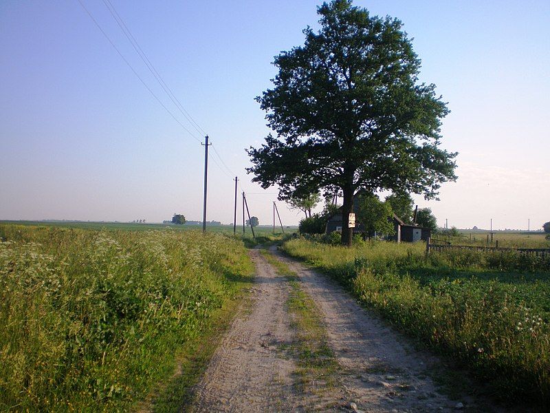 File:Berželė5.JPG