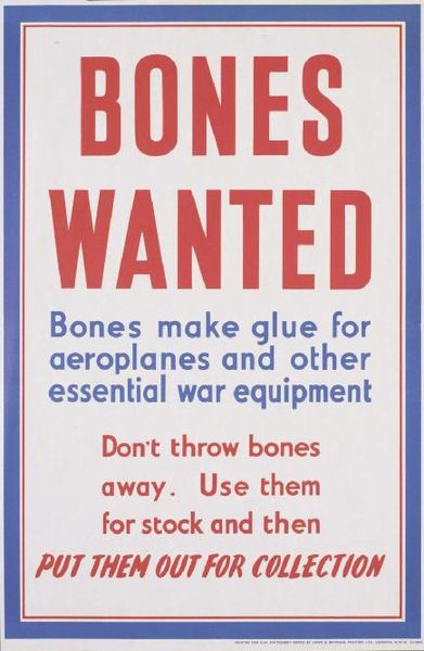 File:Bones Wanted Art.IWMPST14727.jpg