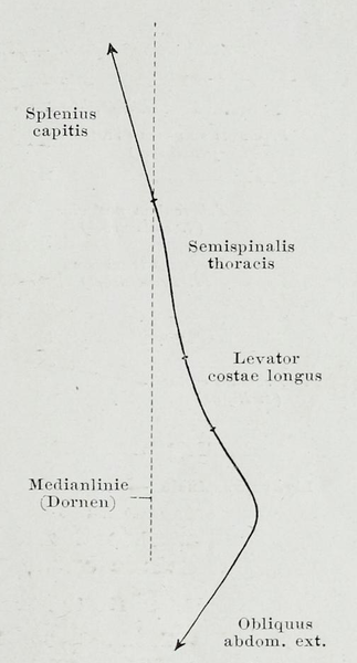 File:Braus 1921 57.png