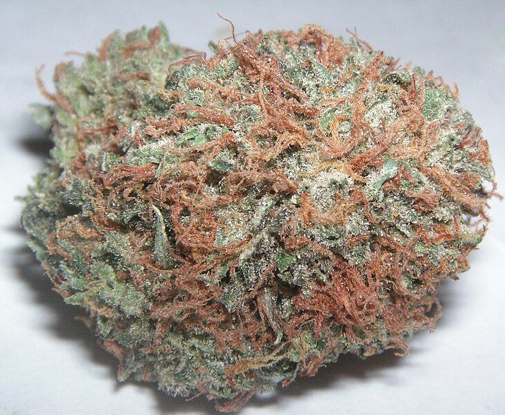 File:Bubba Kush.jpg