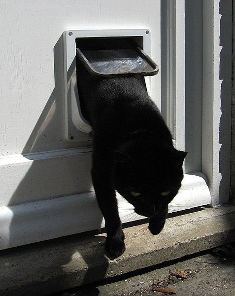 File:Cat flap.jpg