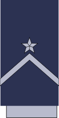 File:Chile-AirForce-OR-9.svg