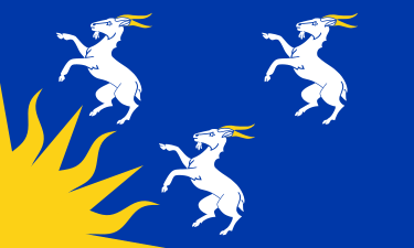 File:Flag of Merioneth.svg