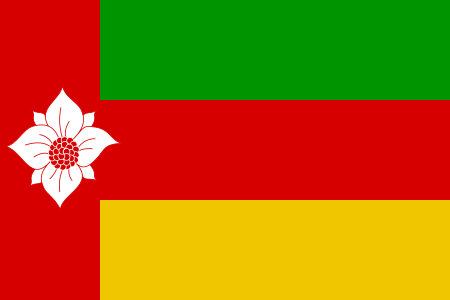 File:Flag of Tynaarlo.svg