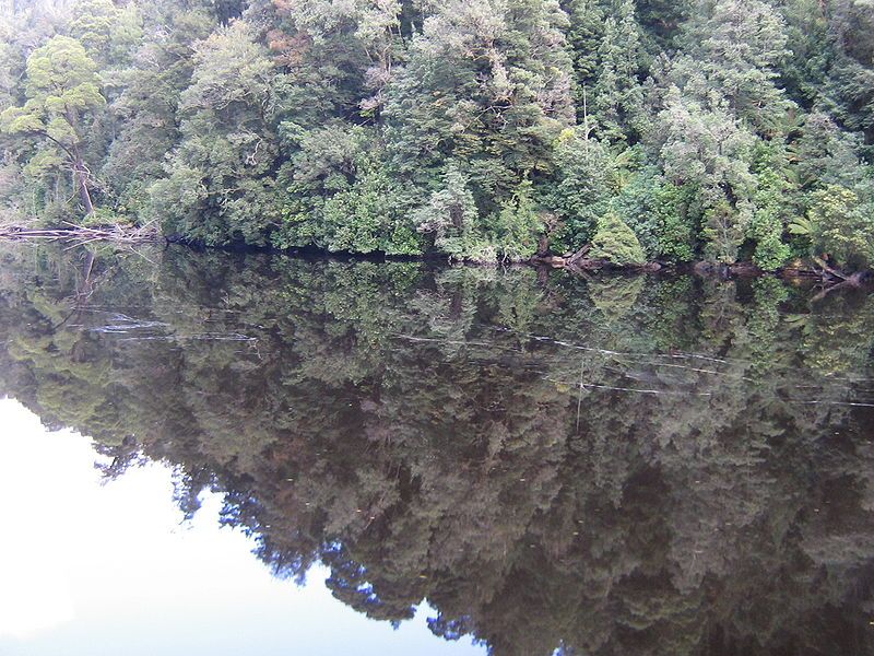 File:Gordon River.jpg