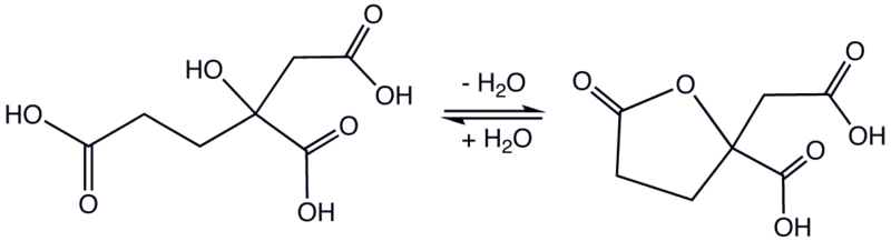 File:Homocitrate2.png