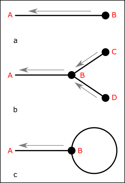 File:IFT Feynman.png