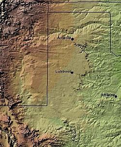 Shaded relief image of the Llano Estacado. The escarpments marking the eastern edge of the Llano are visible, running roughly in a north–south line through the middle of the Panhandle. The western edge is on the New Mexico side of the border, with the Texas–New Mexico border running considerably closer to the western edge of the Llano than to the eastern.