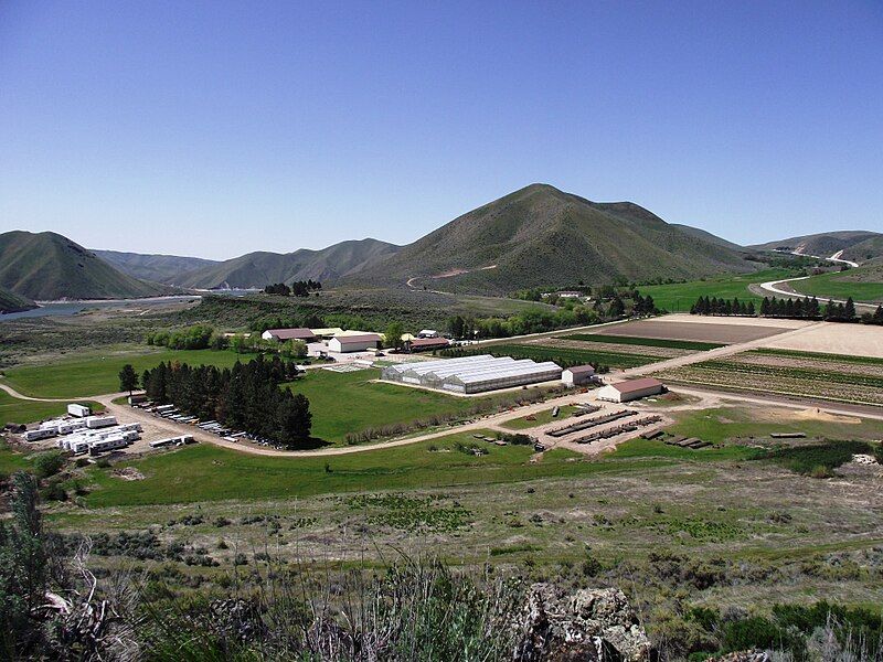 File:Lucky Peak Nursery.jpg