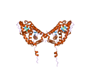 2aax: Mineralocorticoid Receptor Double Mutant with Bound Cortisone