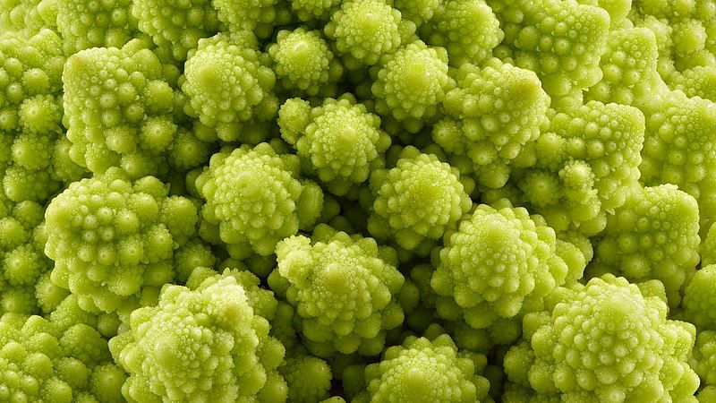 File:Romanesco broccoli texture.jpg