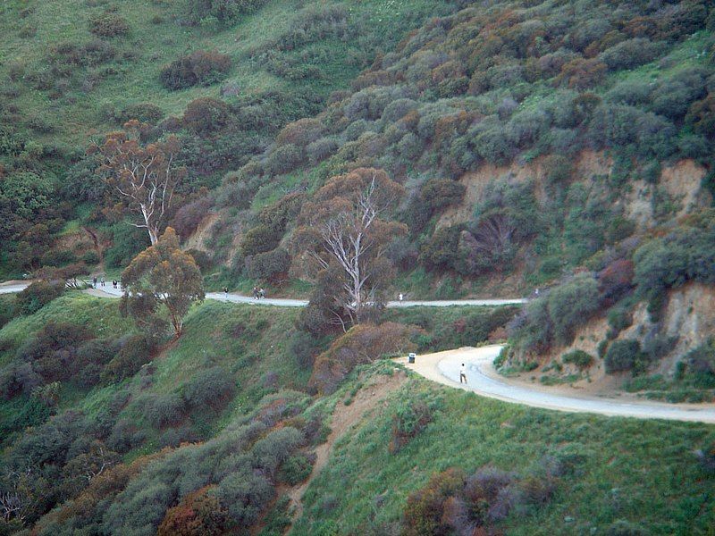 File:Runyon Paved Section.jpg