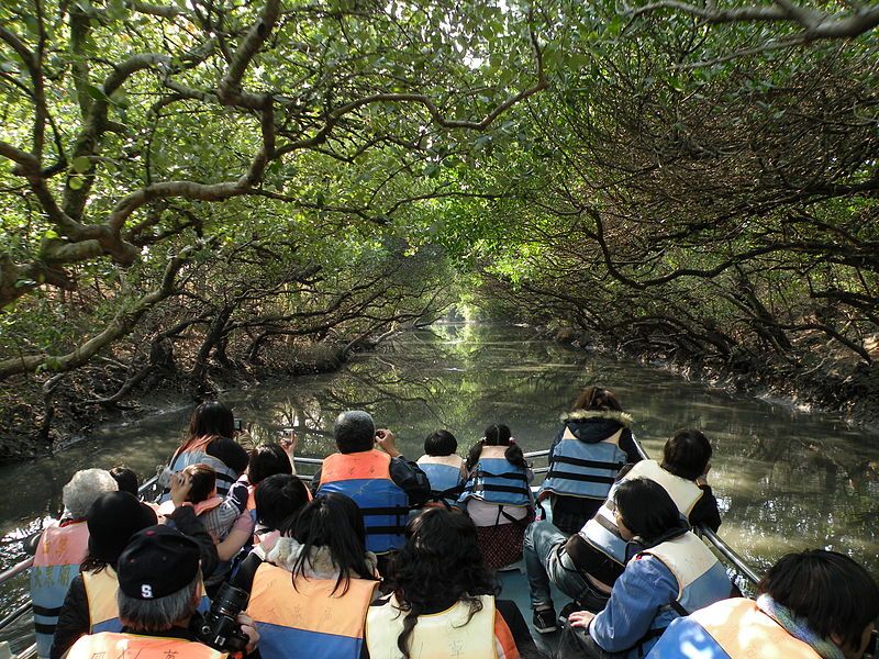 File:Sihcao Green Tunnel.JPG