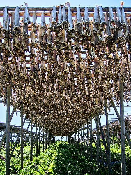 File:Stockfish in Lofoten.jpg