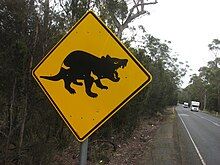 A square-shaped metal tilted at 45 degrees on a metal post. The sign is painted yellow with a picture of a black devil in profile. It is at the side of a straight road cutting through wooded forest and two vehicles can be seen.