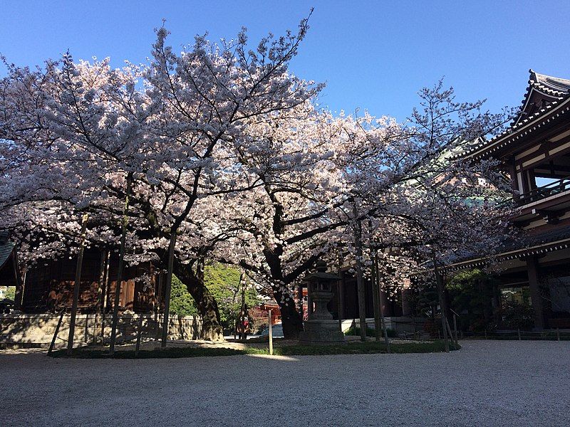 File:Tocho-ji-Hakata.jpg